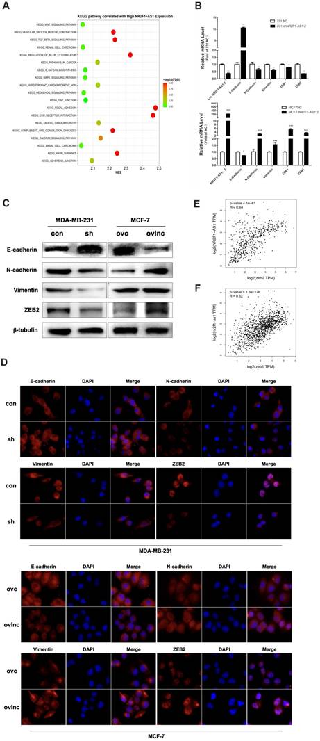 Int J Med Sci Image