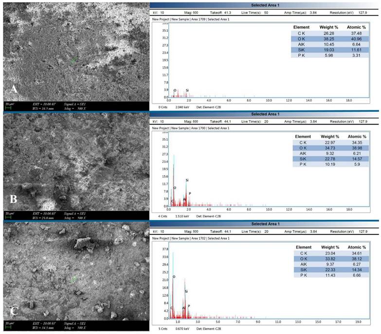 Int J Med Sci Image