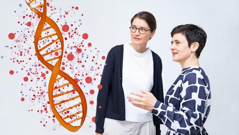 Dr. Corinna Hendrich (links) und Professorin Dr. Anke Bergmann stehen nebeneinander und betrachten einen grafisch animierten DNS-Strang. 