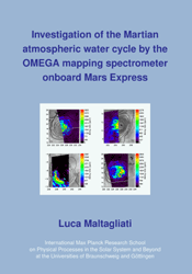 Dissertation_2008_Maltagliati__Luca