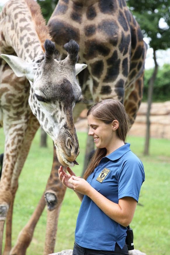 keeper and giraffe