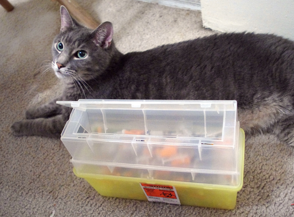 Khan and the insulin needle container