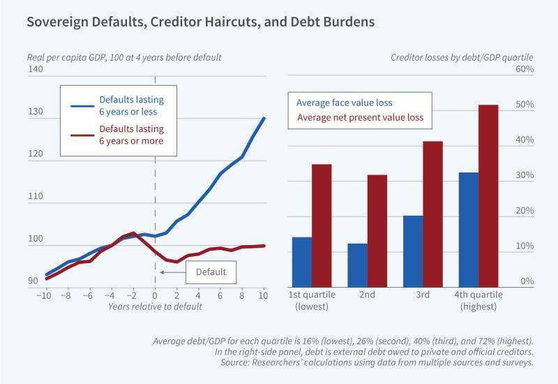 The Costs of Sovereign Debt Crises figure