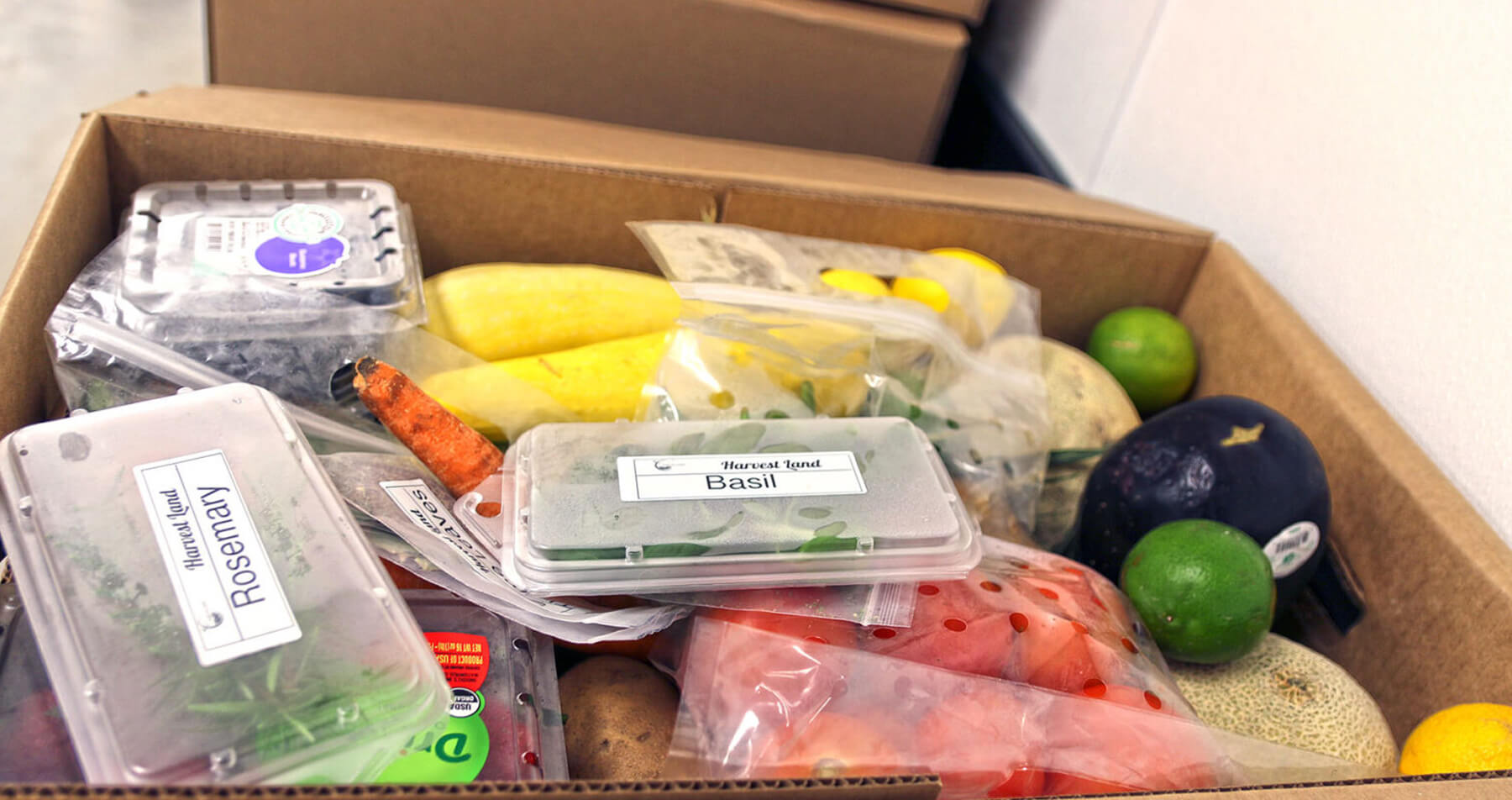 Bagged and loose fresh produce, blueberries, rosemary, basil, carrots, zucchini, tomatoes and more in an open cardboard box