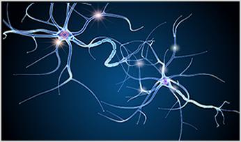 3D illustration of nerve cell anatomy in details. 