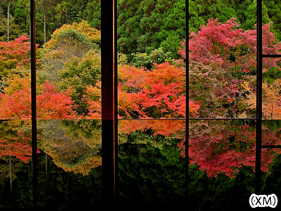 環境芸術の森