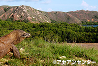 プランバナン寺院遺跡群