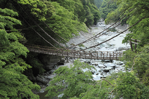 祖谷のかずら橋