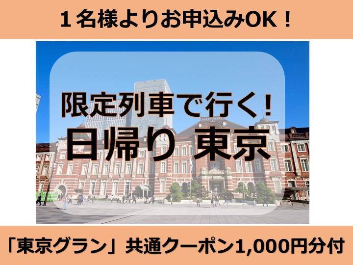 ★出発駅限定★限定列車で行く！1名様よりお申込みOK♪日帰り東京『東京駅グラン』共通クーポン1,000円分付★