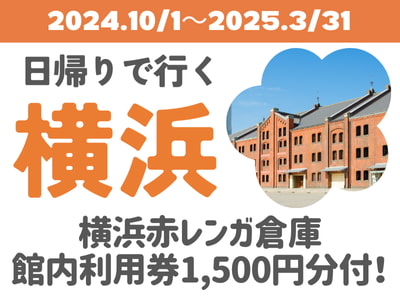 限定列車で行く！日帰りで行く横浜★（名古屋・静岡各地発）