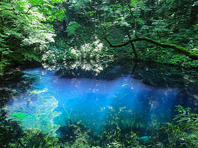 青森県旅行情報