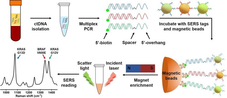 Nanotheranostics Image