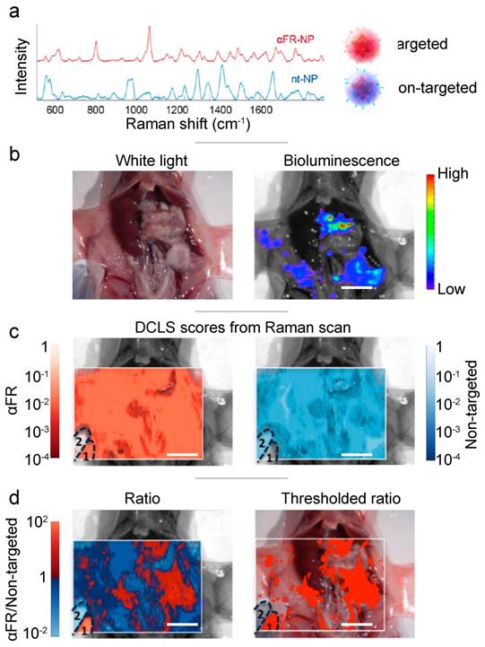 Nanotheranostics Image