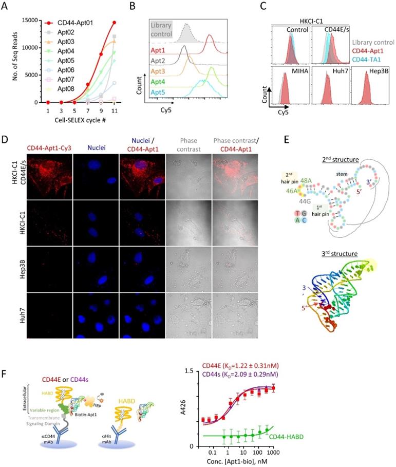 Nanotheranostics Image