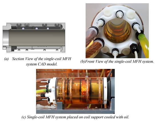 Nanotheranostics Image