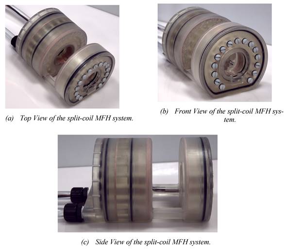 Nanotheranostics Image