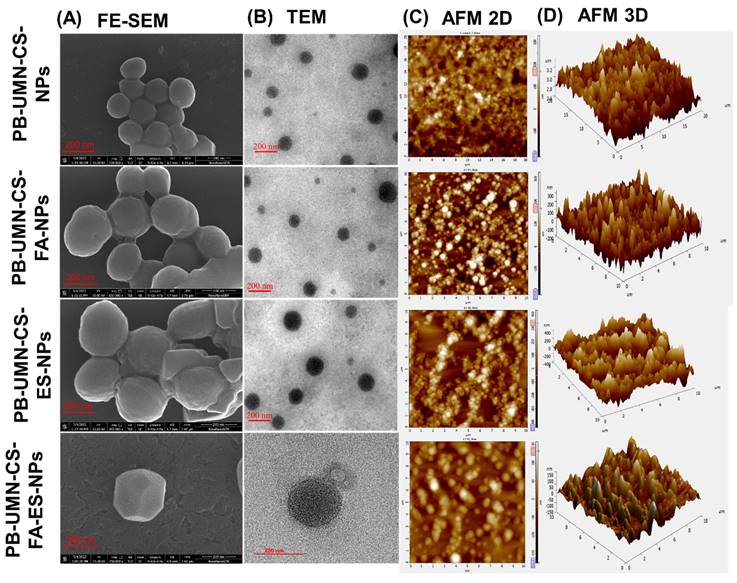 Nanotheranostics Image