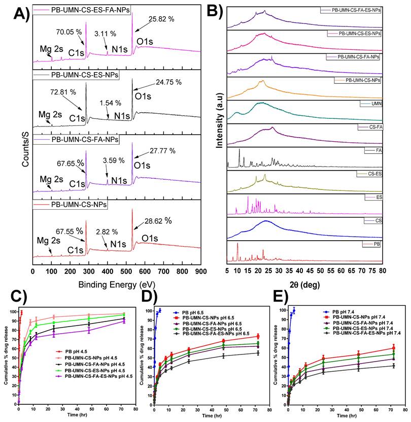 Nanotheranostics Image