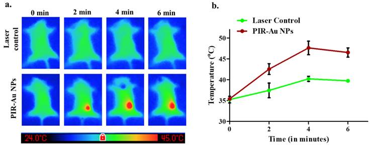 Nanotheranostics Image