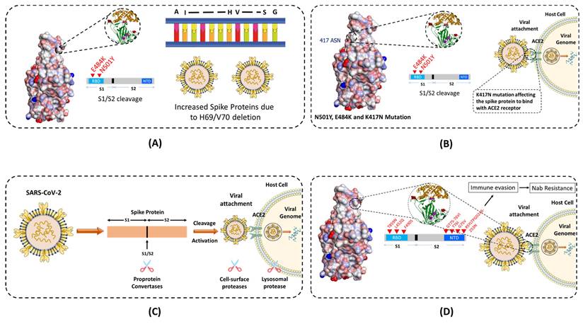 Nanotheranostics Image