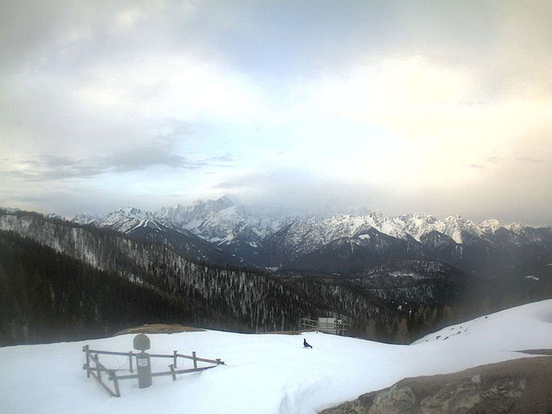 Webcam della stazione GPS di Malga Acomizza, rete FReDNet.