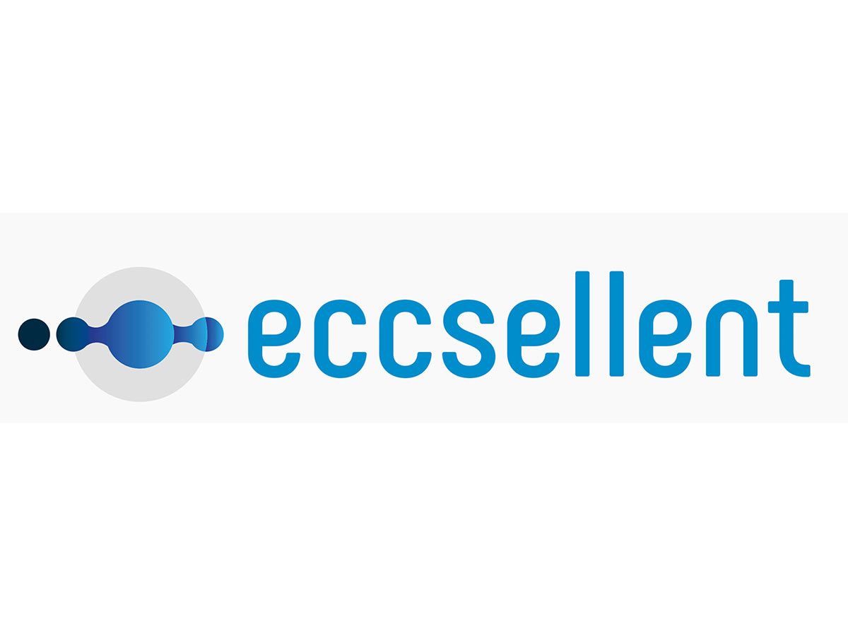 Logo ECCSELLENT