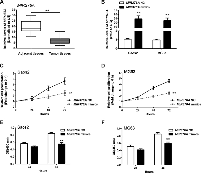 MIR376A suppression of osteosarcoma cell growth in vitro.