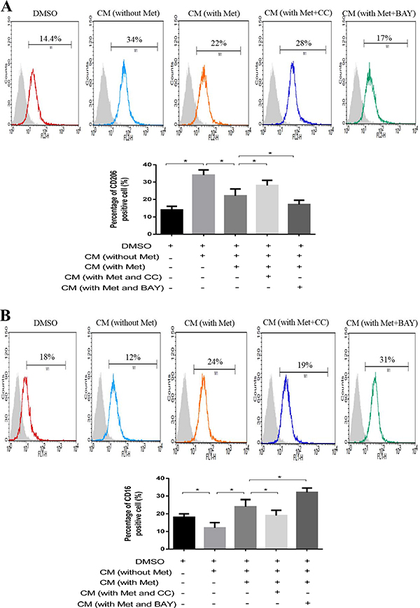 AMPK-NF-&#x03BA;B signaling participated in macrophage polarization.