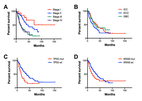 Overall survival according to pathological and mutational features.