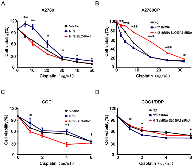 SLC40A1 inverts cisplatin resistance induced by Nrf2.