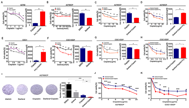 Desferal and brusatol inverts iron overload to sensitize ovarian cancer cells to cisplatin.