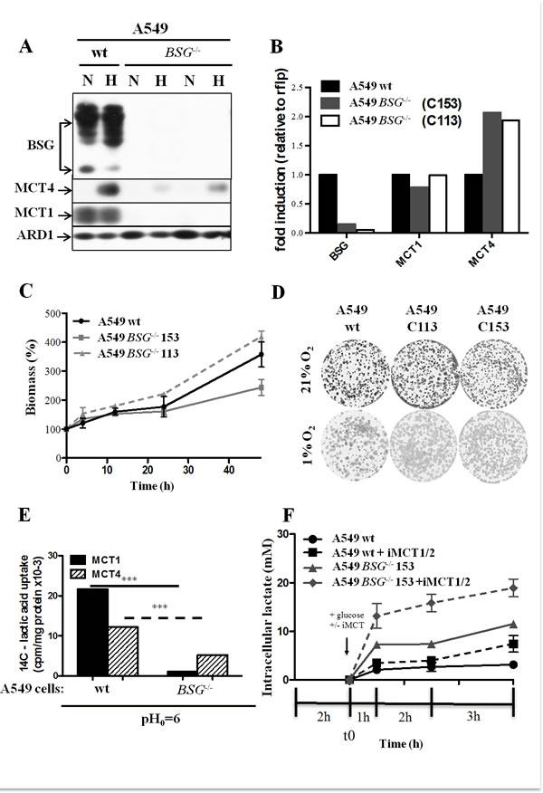 Effect of