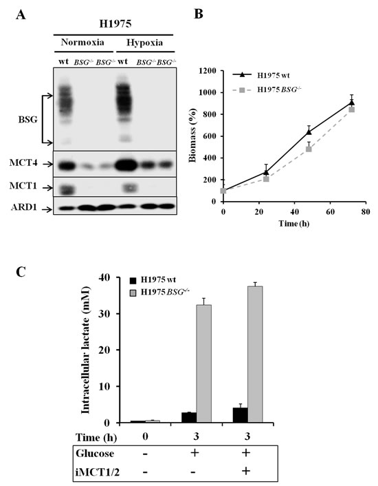 Effect of