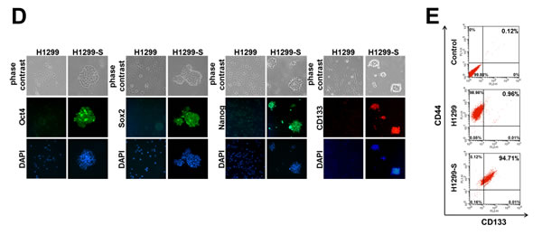 fig1c