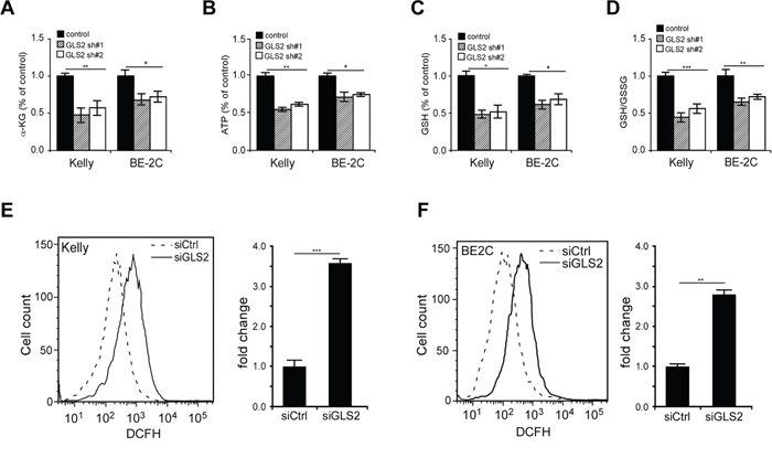 Changes in &#x03B1;-KG contents, ATP production, GSH biosynthesis and ROS generation upon GLS2 depletion.