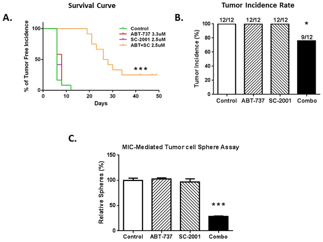 The combination of SC-2001 and ABT-737 inhibited the MIC-mediated tumor formation in vivo.