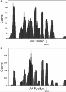 Chemical complementarity of tumor resident, T-cell receptor CDR3s and renalase-1 correlates with increased melanoma survival