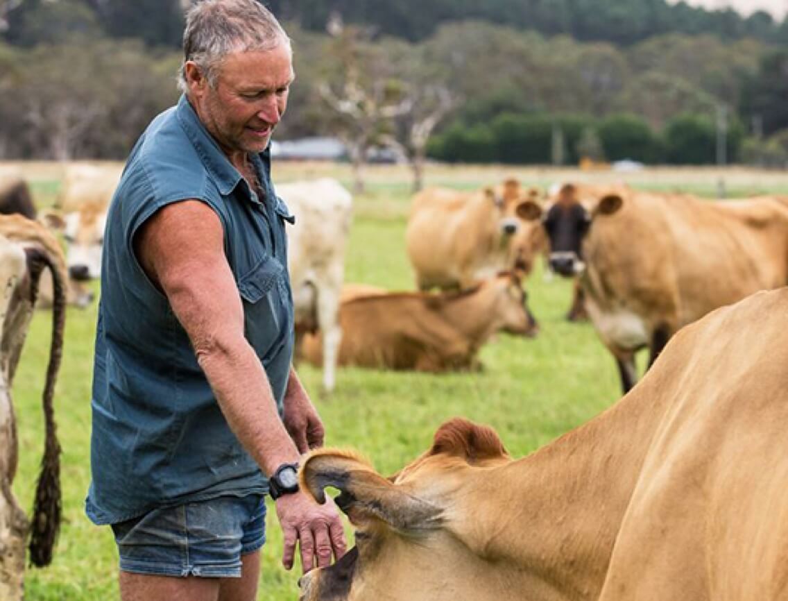 Dariy - Hero Dariy - Hero