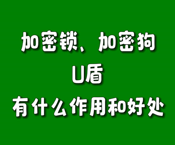 erp软件系统加密狗锁U盾密钥有什么作用和好处