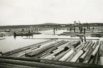 Så flöt skogen från fjället till havet