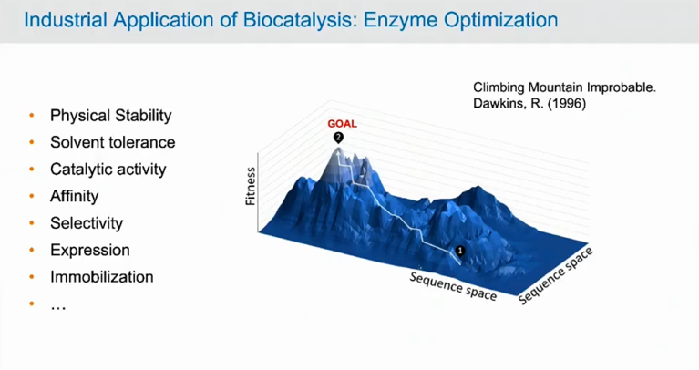 Enzymes by design: Structure-based methods for modeling enzymes