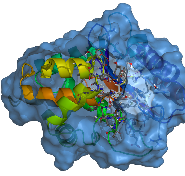 Efficiently optimize enzymes using structure-based design