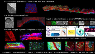 Strategies to heal membranes after preterm rupture