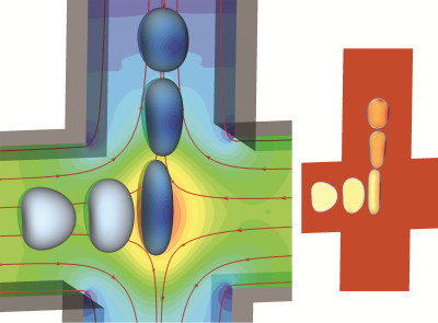 Flow-induced cell membrane damage and enhanced intracellular transport in a cross-slot microchannel