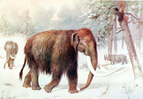 painting of woolly mammoth in snowy landscape