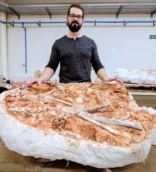 Rodrigo Temp Müller with his latest Herrerasaurus fossil.