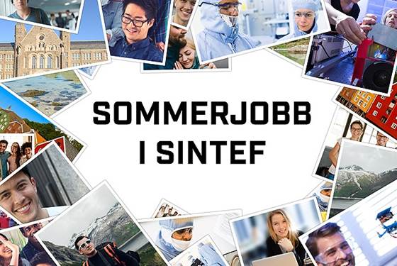 Sommerforsker 2025 innen matematikk og kybernetikk