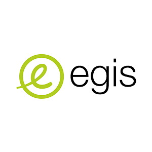 EGIS CONSEIL