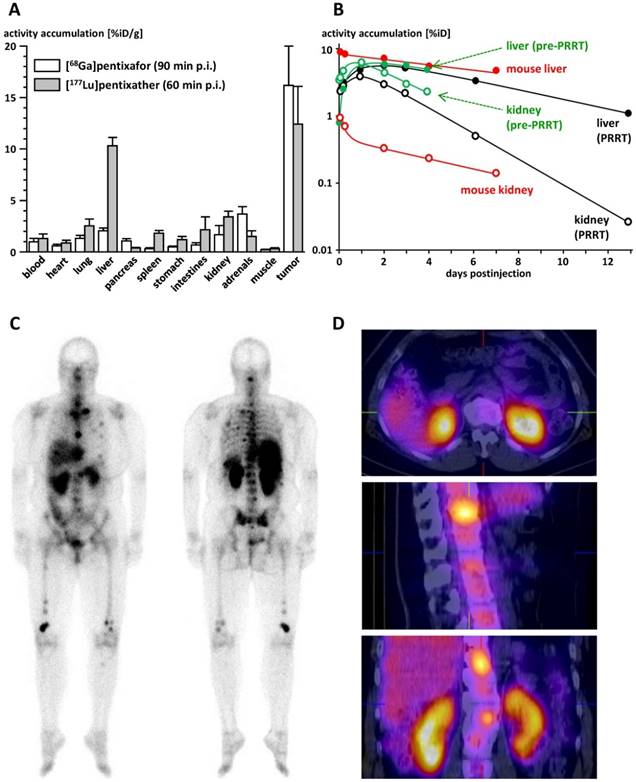 Theranostics Image