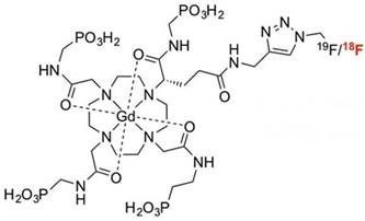 Theranostics Image